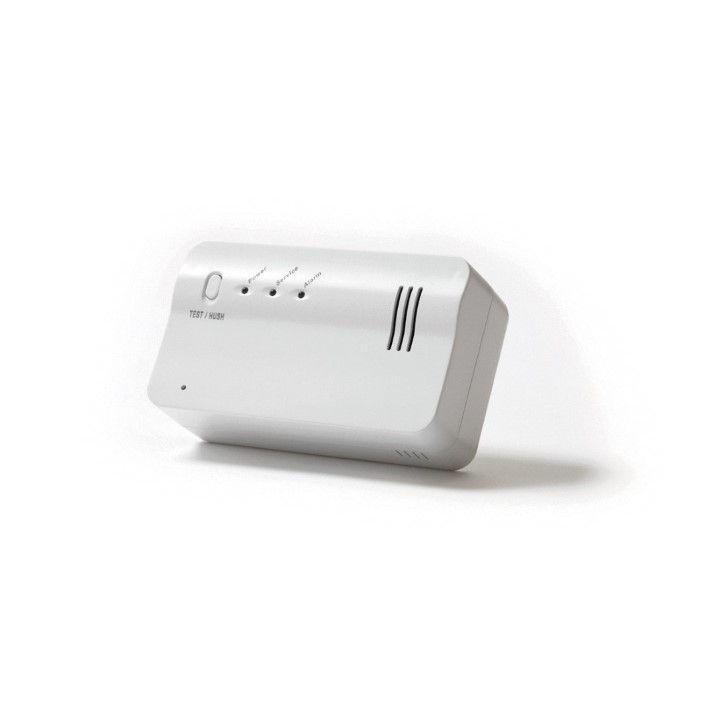 2-Wege Funk-Gasmelder